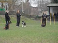 SAM_0800