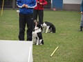 SAM_0819