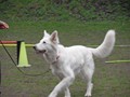 SAM_0826