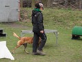 SAM_0829