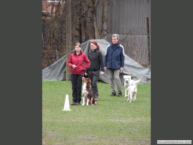 image003