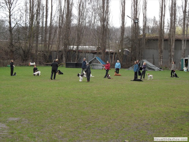 SAM_0908