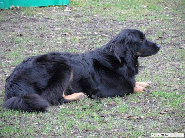 SAM_0937