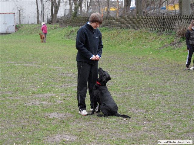 SAM_0946