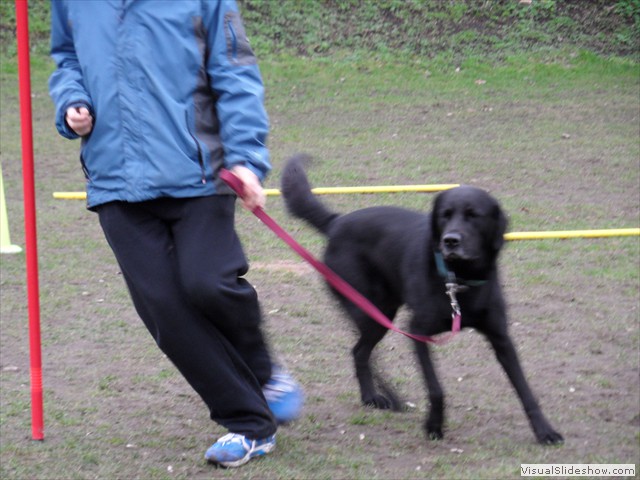 SAM_0978