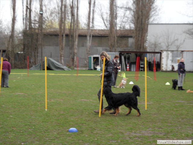 SAM_0981