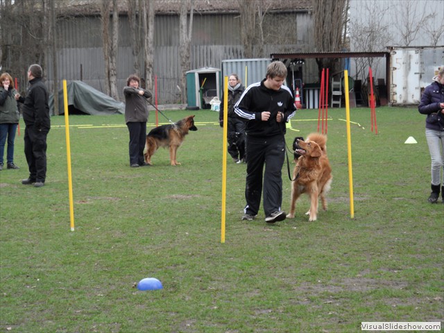 SAM_0989