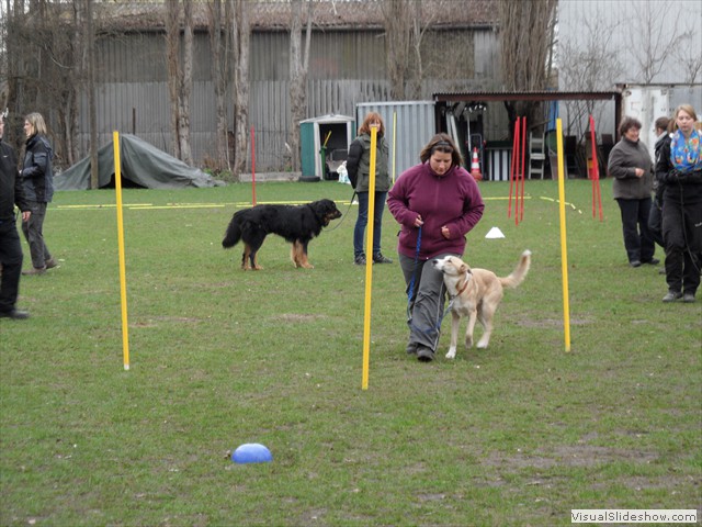 SAM_0993