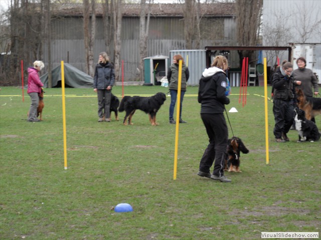 SAM_0995