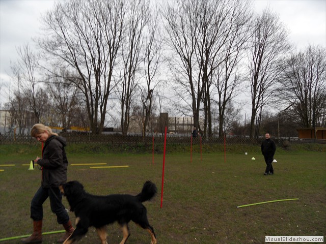 SAM_1008