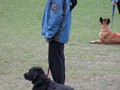 image016