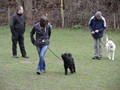 SAM_0884