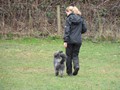 SAM_0898