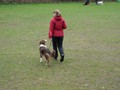 SAM_0901