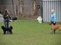 SAM_0904