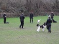 SAM_0909