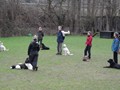 SAM_0910