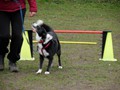 SAM_0964