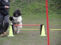 SAM_0966