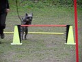 SAM_0971