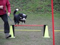 SAM_0976