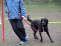 SAM_0978