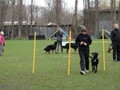 SAM_0984