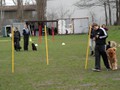 SAM_0988