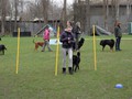SAM_0990