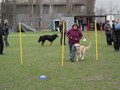 SAM_0993