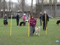 SAM_0994
