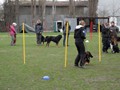 SAM_0995