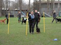 SAM_0996