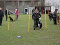 SAM_0997