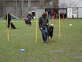 SAM_1001