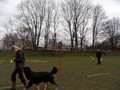 SAM_1008