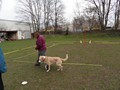 SAM_1013