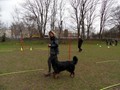 SAM_1017