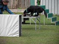 SAM_1021
