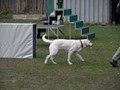 SAM_1035