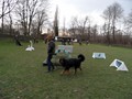 SAM_1036