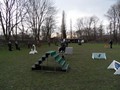 SAM_1041