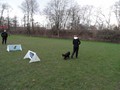 SAM_1045