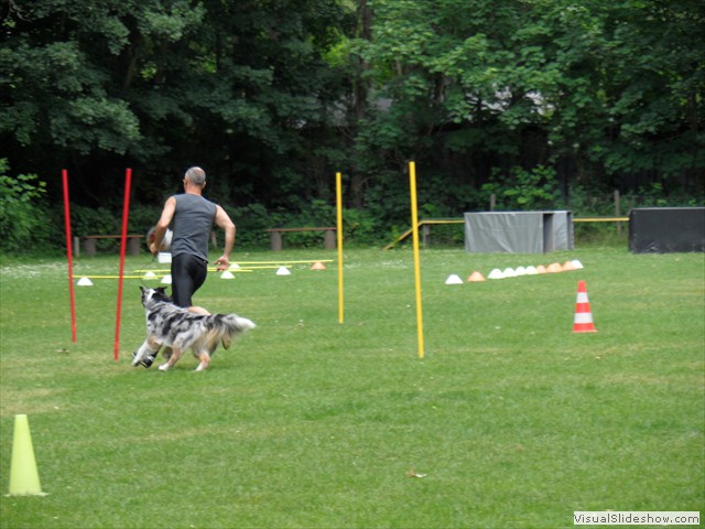SAM_1161