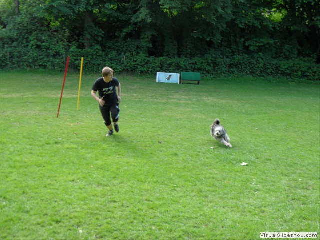 SAM_1209