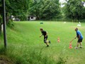 SAM_1137