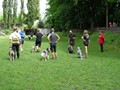 SAM_1151