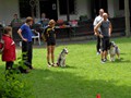SAM_1152
