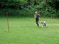 SAM_1153