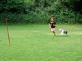SAM_1154